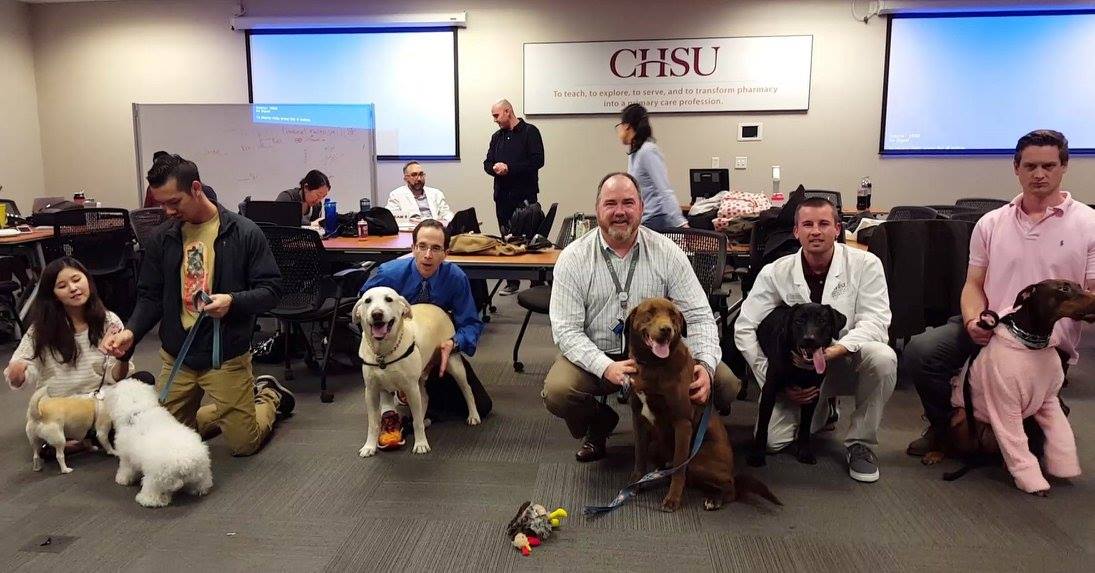 Take Your Dog to School Day?! Dr. Sehgal Hosts Veterinary Comparative Counseling