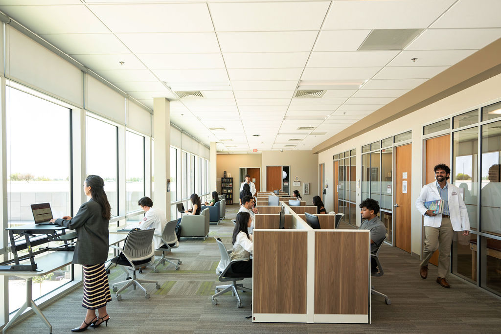 students studying at cubicles in library