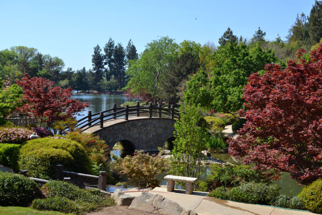 moon bridge surrounded by trees and lake